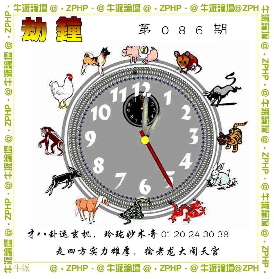 086期牛派系列4[图]
